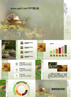 蜗牛PPT模板_烦烦出品.pptx[共8张]