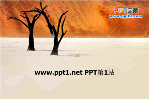 沙漠树木PPT模板.ppt[共4张]