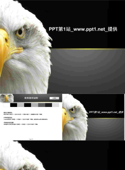 猎鹰PPT模板.ppt[共4张]