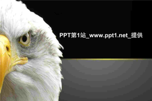 猎鹰PPT模板.ppt[共4张]
