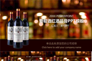 红酒品尝PPT模板.pptx[共28张]