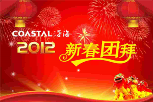 带背景音乐的新年贺卡PPT模板.ppt[共1张]