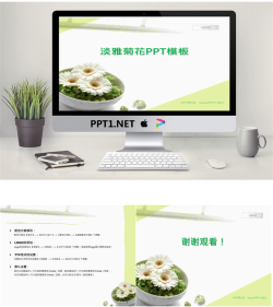 清新淡雅的菊花背景植物幻灯片模板.ppt[共3张]