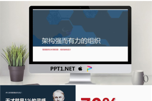 “架构强而有力的组织”管理案例分析商务PPT模版.pptx[共36张]
