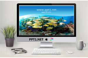 海底世界好多鱼PPT模板.ppt[共2张]