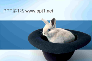 帽子里的兔子PPT模板.ppt[共4张]