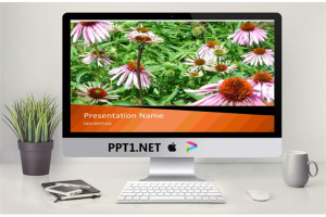 粉色花儿艳－植物PPT模板.ppt[共2张]