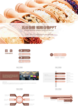 五谷杂粮粮食农产品PPT模板.pptx[共23张]