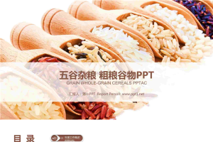 五谷杂粮粮食农产品PPT模板.pptx[共23张]