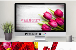 精致玫瑰花背景的爱情情人节PPT模板.pptx[共22张]