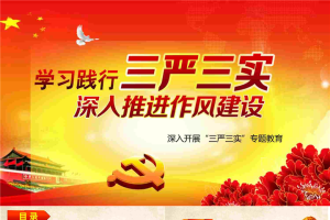 学习践行三严三实PPT模板.pptx[共26张]