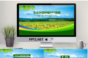 绿色稻田背景的农业PPT模板.pptx[共27张]