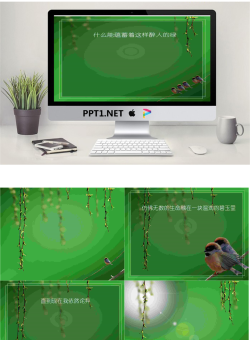 柳条麻雀背景的《翠绿》PPT模板.ppt[共5张]