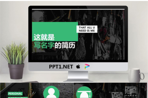 精美个人简历PPT模板_编号U5f9I8.ppt[共10张]