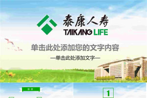 泰康人寿PPT模板.pptx[共30张]