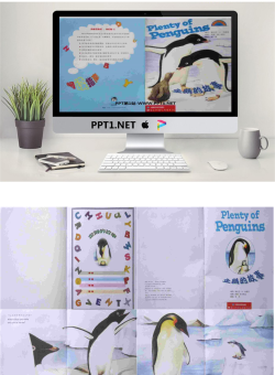 《企鹅的故事》绘本故事PPT.ppt[共18张]