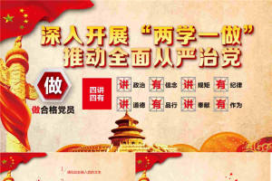 深入开展“两学一做”推动全面从严治党PPT.pptx[共27张]