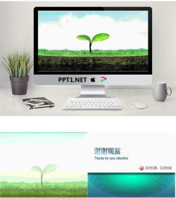 春天幼苗PPT模板.pptx[共3张]