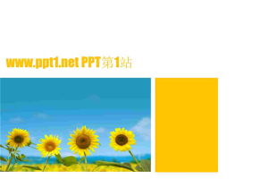 向日葵PPT模板.ppt[共10张]