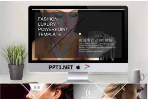 欧美时尚奢饰品PPT模板.pptx[共27张]