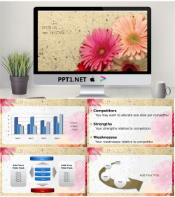 素雅的野菊花PPT模板.ppt[共5张]