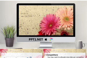 素雅的野菊花PPT模板.ppt[共5张]