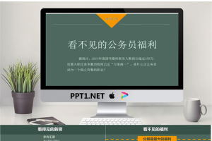 看不见的公务员福利PPT.ppt[共14张]