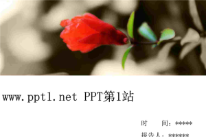春花PPT模板.ppt[共7张]