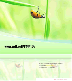 瓢虫淡雅树叶PPT模板.ppt[共3张]