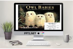 《猫头鹰宝宝》绘本故事PPT.ppt[共11张]