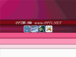 粉色布纹经典PPT模板.ppt[共1张]