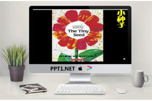 《小种子》绘本故事PPT.ppt[共19张]