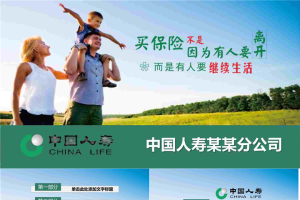中国人寿保险业务介绍PPT模板.pptx[共28张]