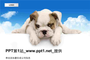 可爱狗狗PPT模板.ppt[共3张]