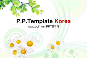 韩国淡雅树叶菊花PPT模板.ppt[共22张]