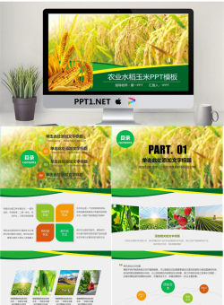 水稻小麦玉米背景的农产品PPT模板.pptx[共27张]