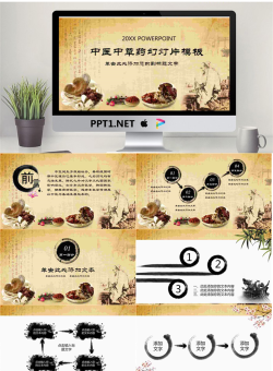 古典水墨风格的中医中草药PPT模板.pptx[共27张]