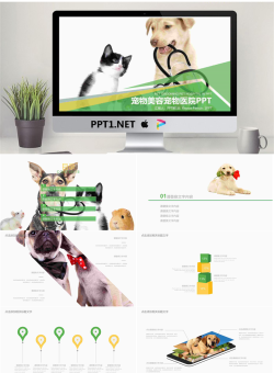 小狗小猫背景的宠物PPT模板.pptx[共22张]