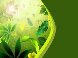 树叶背景清新艺术PPT模板.ppt[共1张]