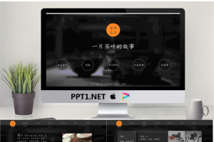 茶道之美茶文化介绍的PPT模板.pptx[共11张]