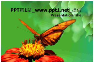 蝴蝶采蜜PPT模板.ppt[共4张]