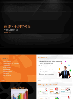 【数据分析PPT案例】.ppt[共31张]