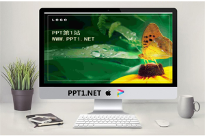 精美蝴蝶花朵PPT模板.ppt[共3张]