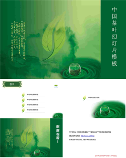 中国绿茶背景PowerPoint模板.ppt[共5张]