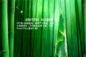 绿色清新的竹林背景模版.ppt[共7张]