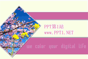 粉色桃花背景PPT模板.ppt[共1张]