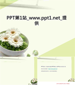 淡雅小盘菊花PPT模板.ppt[共3张]