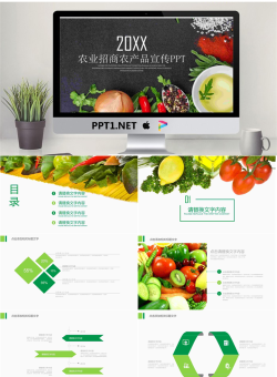蔬菜农产品PPT模板.pptx[共22张]