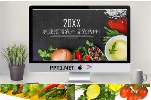 蔬菜农产品PPT模板.pptx[共22张]