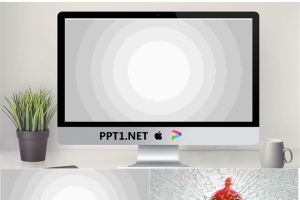有趣的《愤怒的小鸟》主题PPT动画.pptx[共14张]